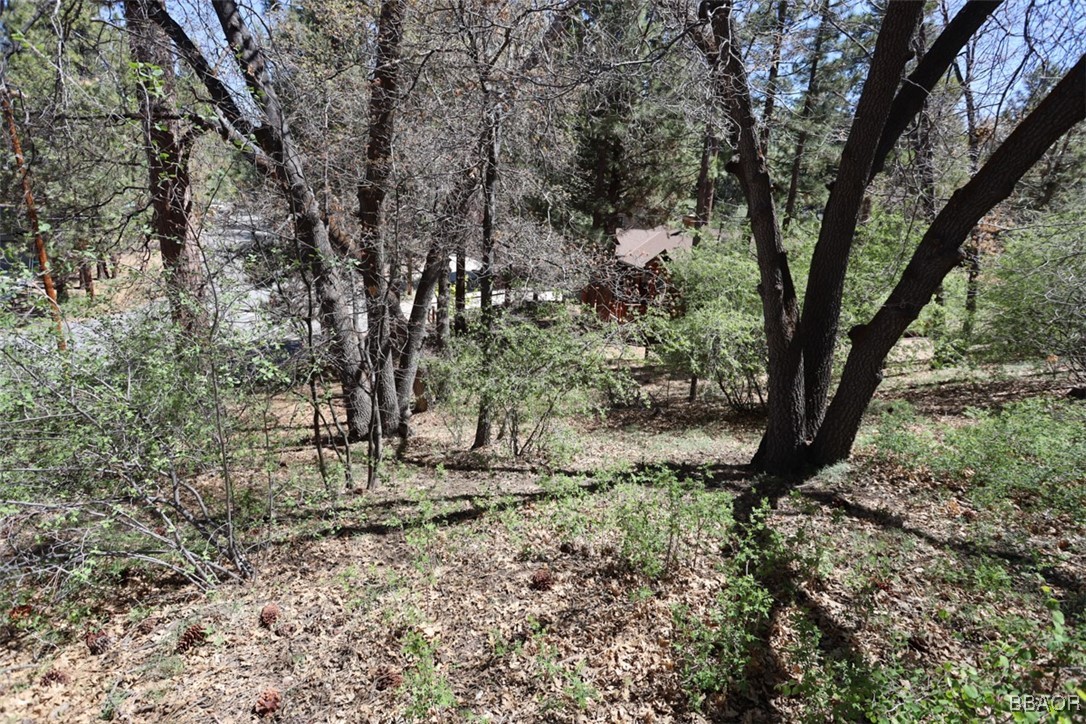 0 Avalon Road Big Bear Lake, CA 92315 - Photo 6 of 11