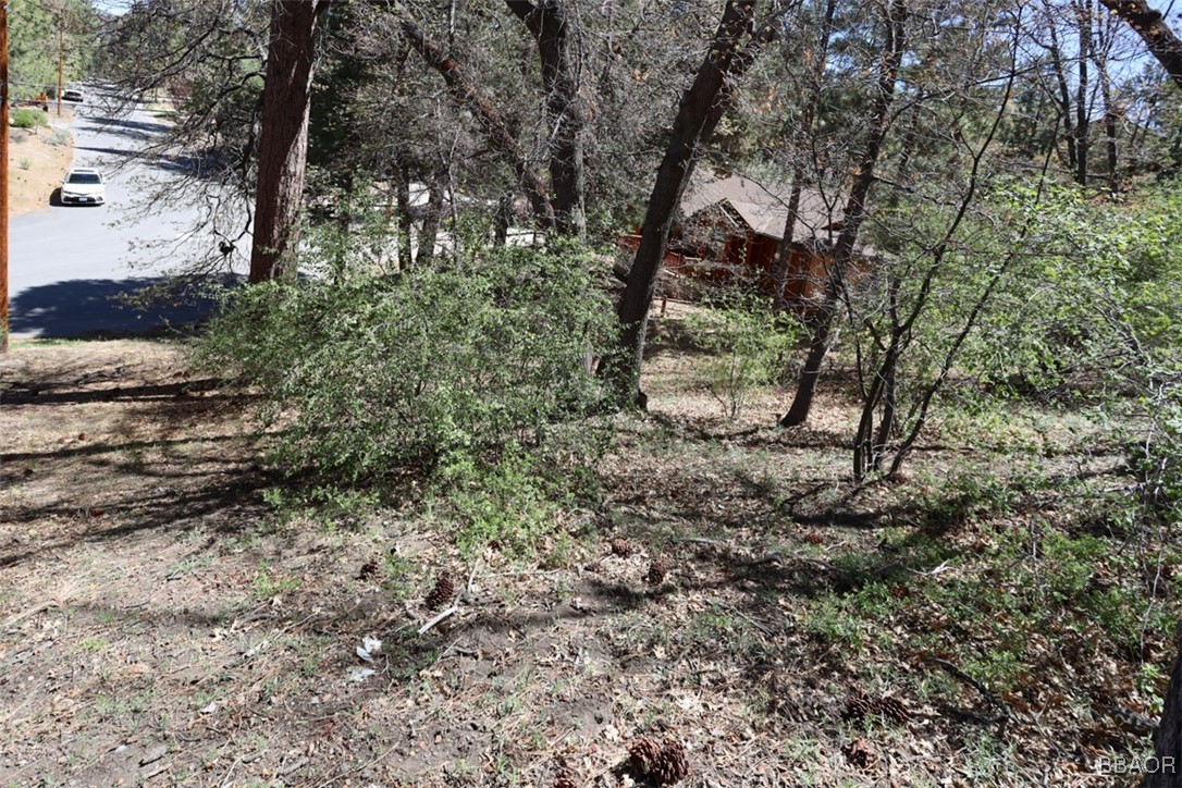 0 Avalon Road Big Bear Lake, CA 92315 - Photo 7 of 11