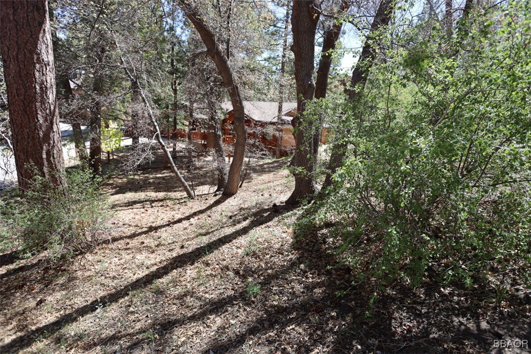 0 Avalon Road Big Bear Lake, CA 92315 - Photo 8 of 11