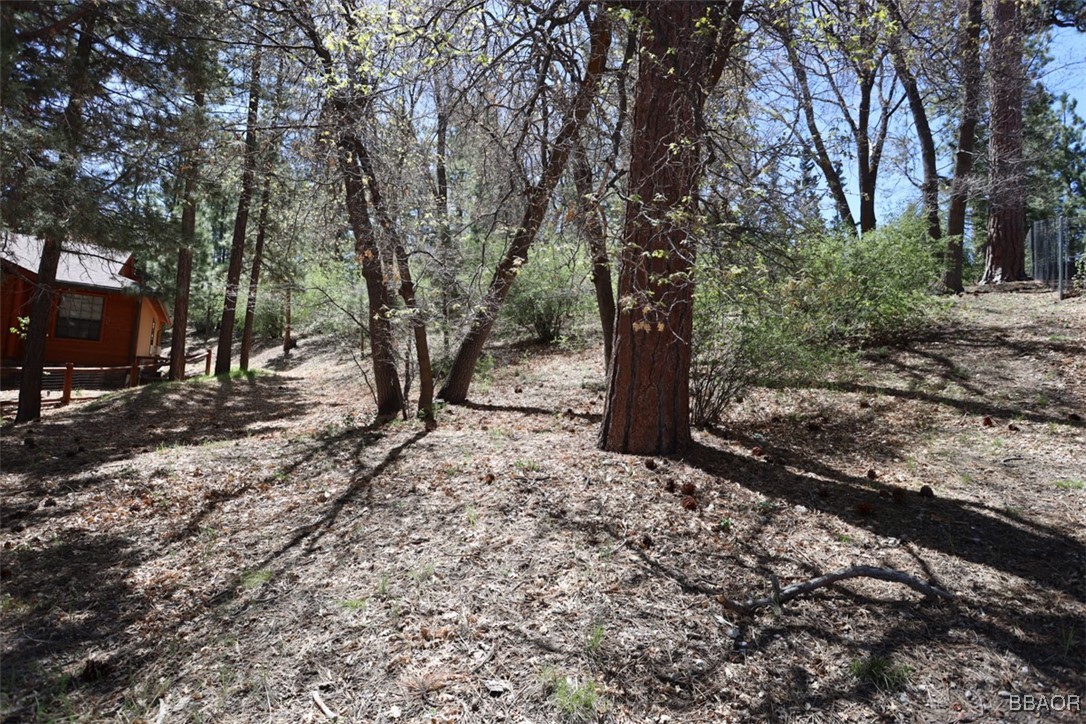 0 Avalon Road Big Bear Lake, CA 92315 - Photo 10 of 11