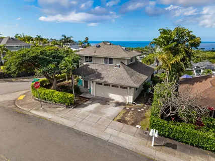 a aerial view of a house with a yard and potted plants