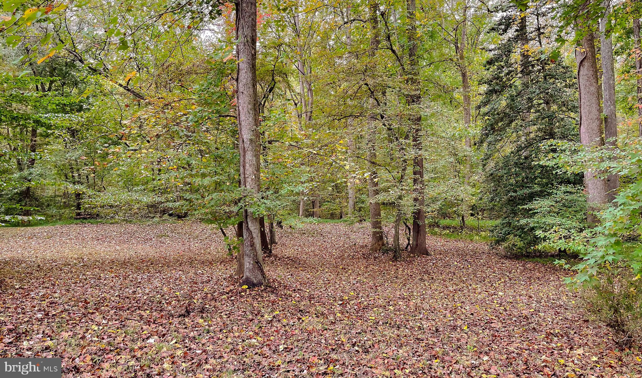 513 Clarks Run Road La Plata, MD 20646 - Photo 31 of 35 a view of outdoor space