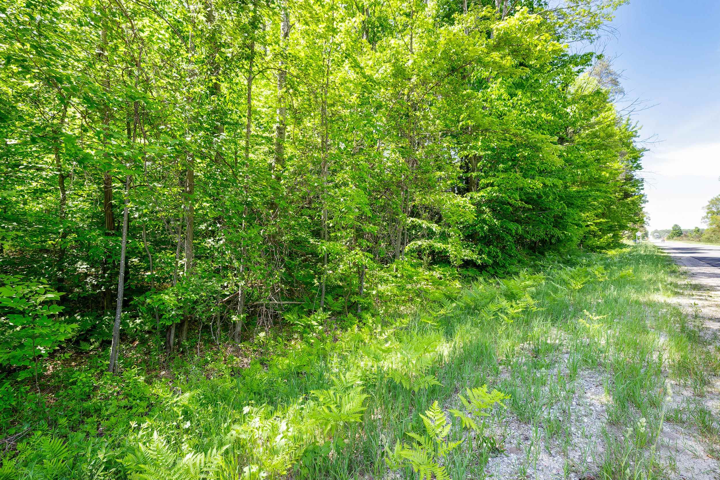 7764 South Weldon Road Thompsonville, MI 49683 - Photo 4 of 15