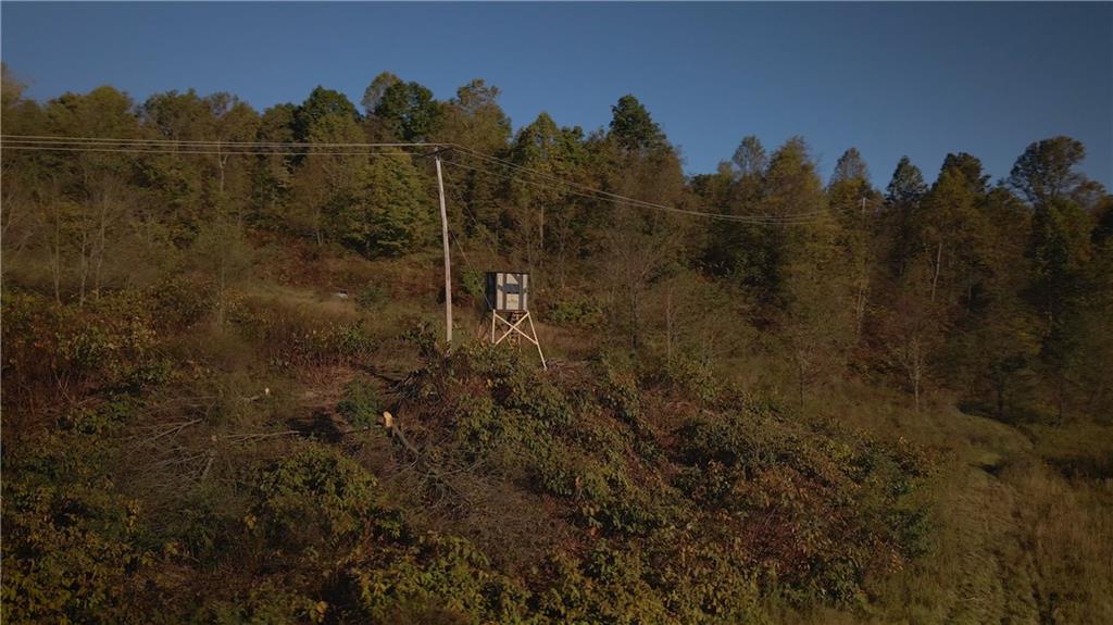 0 Flat Rock Road Avonmore, PA 15618 - Photo 11 of 27 a view of a pathway