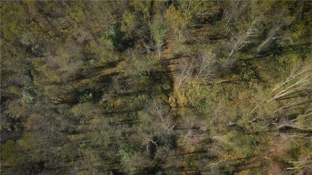 0 Flat Rock Road Avonmore, PA 15618 - Photo 17 of 27 a view of a covered with large trees