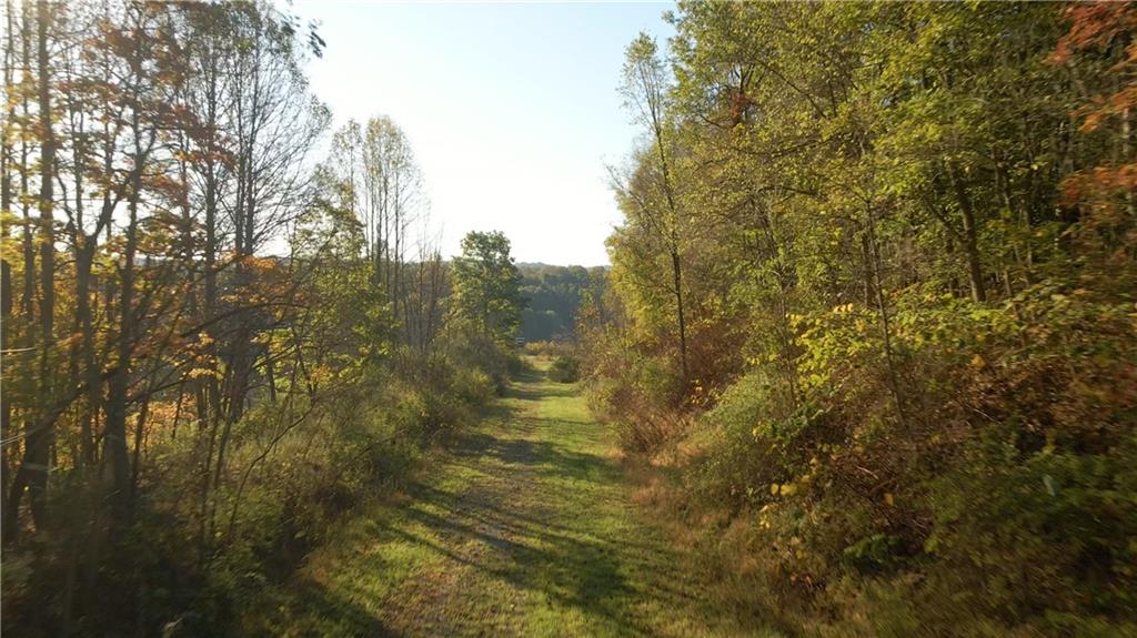 0 Flat Rock Road Avonmore, PA 15618 - Photo 20 of 27 a view of a yard of a building