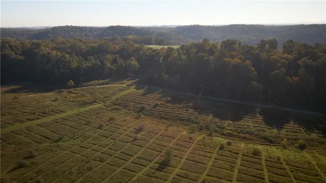 a view of a lake view