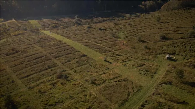 a view of outdoor space with trees