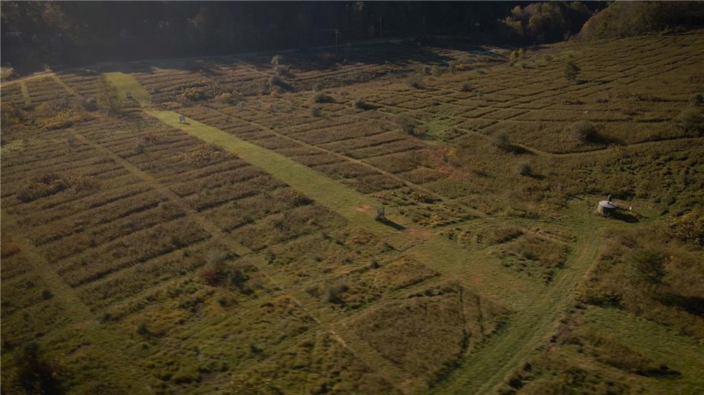 0 Flat Rock Road Avonmore, PA 15618 - Photo 8 of 27