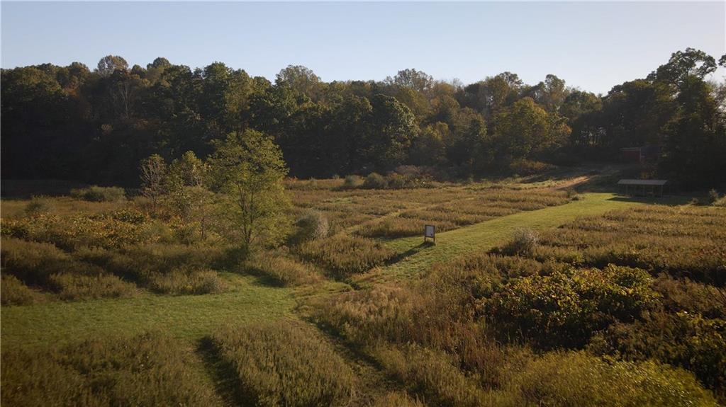 0 Flat Rock Road Avonmore, PA 15618 - Photo 10 of 27 a view of a yard with mountain