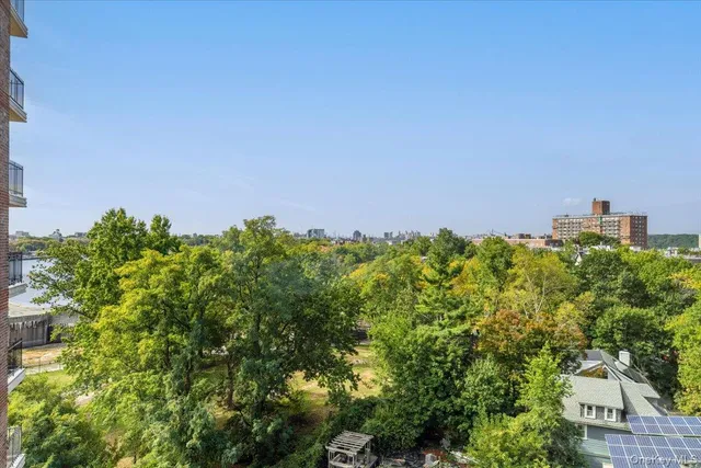 a view of a large yard with plants and large trees