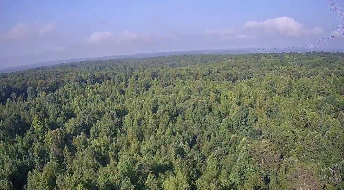 0 New Home Road Trenton, GA 30752 - Photo 3 of 10 8B88A89D-1D06-4873-A202-9F131D7CBFB7