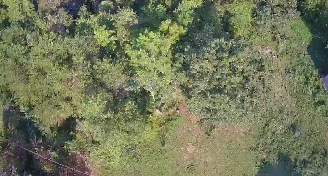 0 New Home Road Trenton, GA 30752 - Photo 4 of 10 C5CE9EDF-426E-41CA-B40A-BCB0BE69DDB0