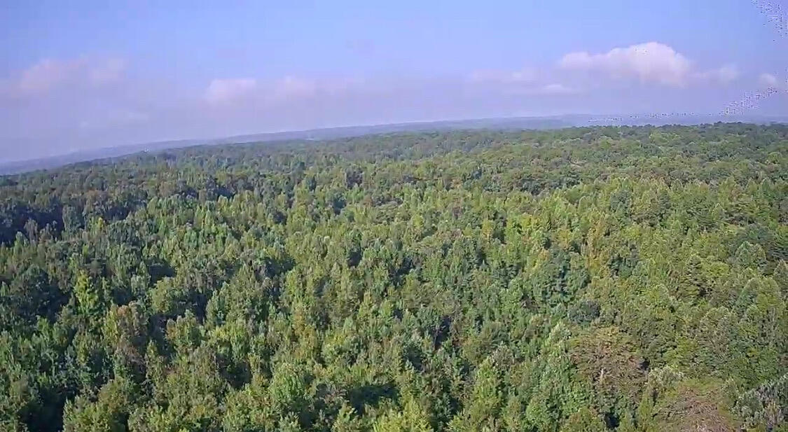 0 New Home Road Trenton, GA 30752 - Photo 7 of 10 AF7C21F1-B4F2-474D-9E9C-B8BB60930DF0