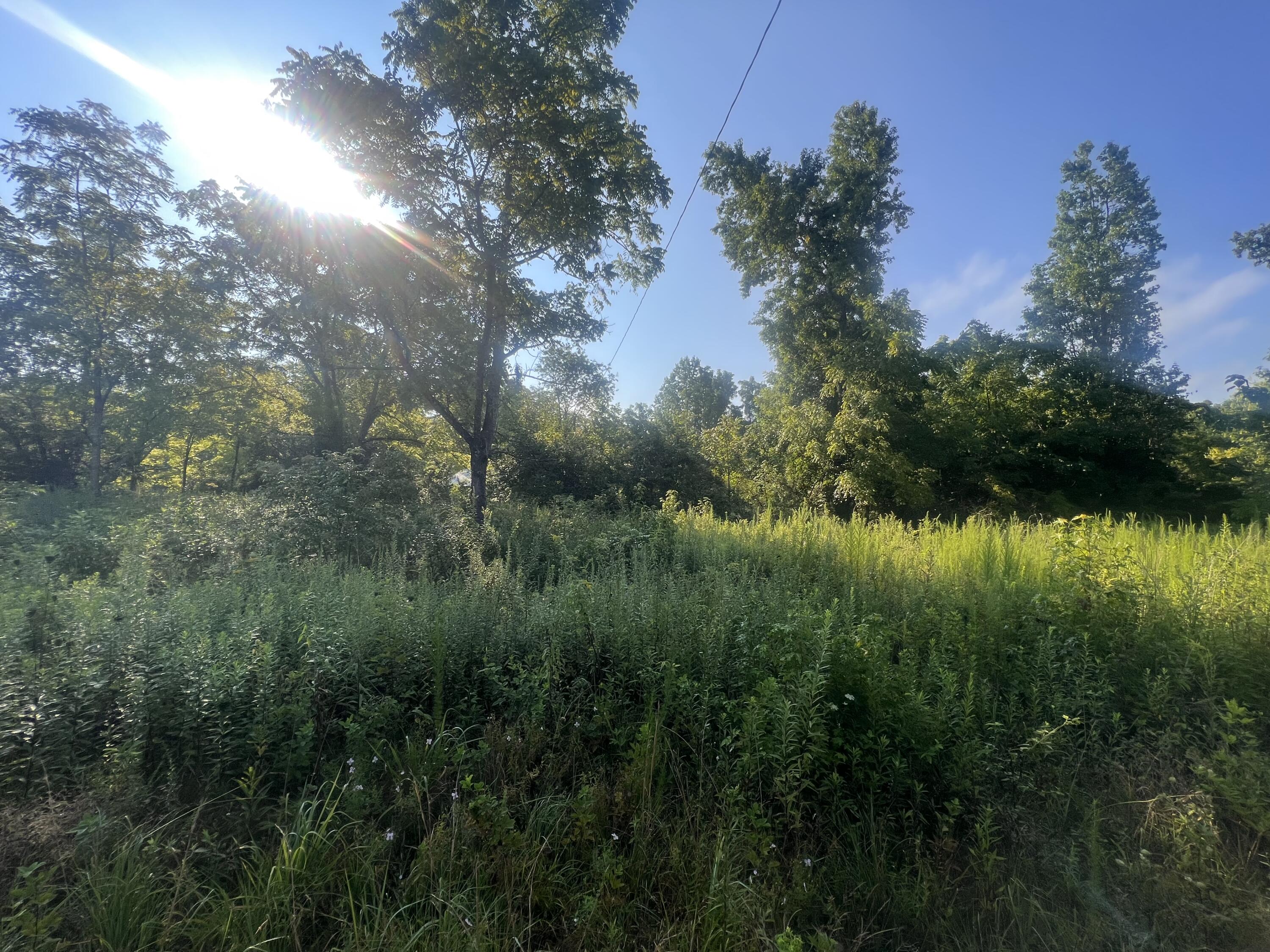 0 New Home Road Trenton, GA 30752 - Photo 8 of 10 5CBD4F3E-D506-4BB2-8106-B142117A4A73