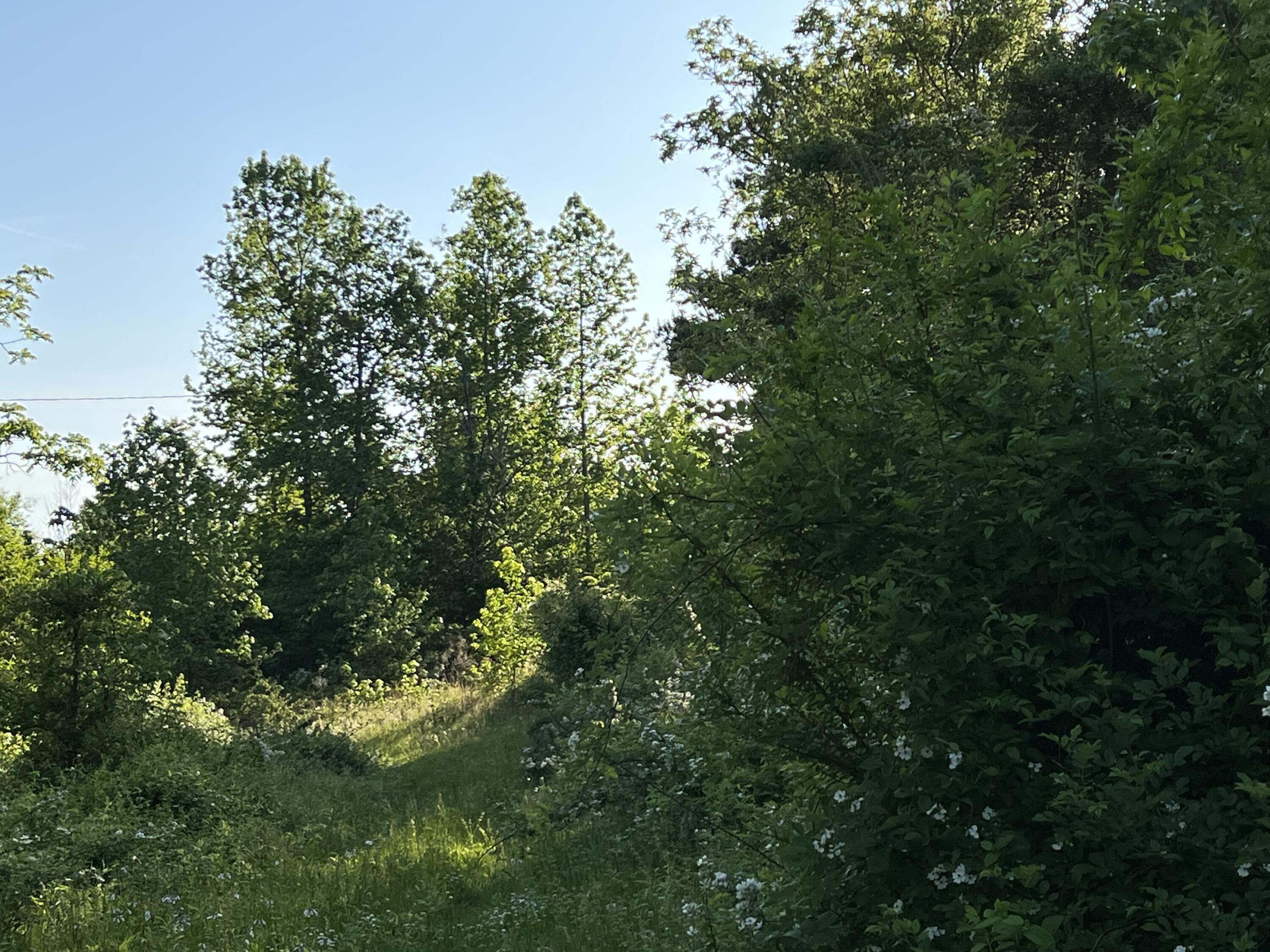 0 New Home Road Trenton, GA 30752 - Photo 9 of 10 FE97D33F-F930-4193-88BD-B3AB6B70F5A9