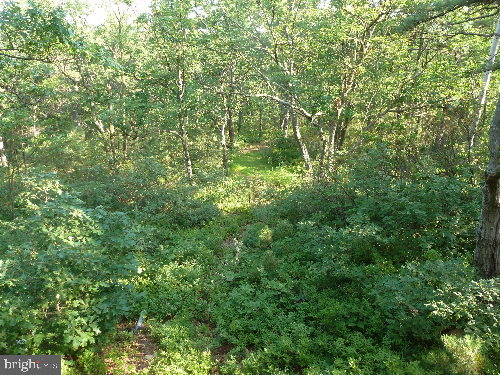 725 High Mountain Road Gardners, PA 17324 - Photo 5 of 13 Gallery Image 5