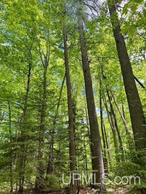 Theilers Road Mohawk, MI 49950 - Photo 46 of 56