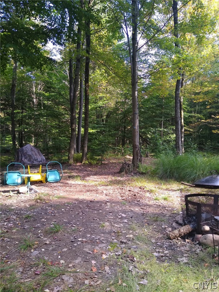 2 Tamblin Ridge Trail Bernhards Bay, NY 13028 - Photo 9 of 12 Cleared area
