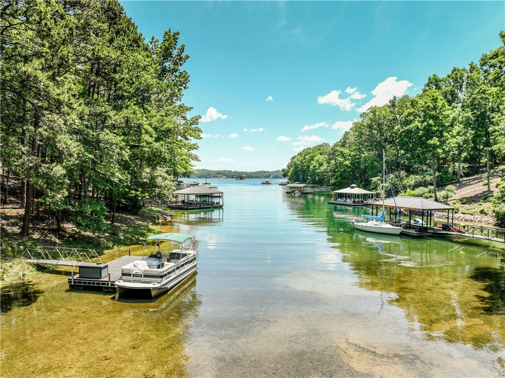 9 Rip Tide Court Salem, SC 29676 - Photo 5 of 50 Great cove for kayaking