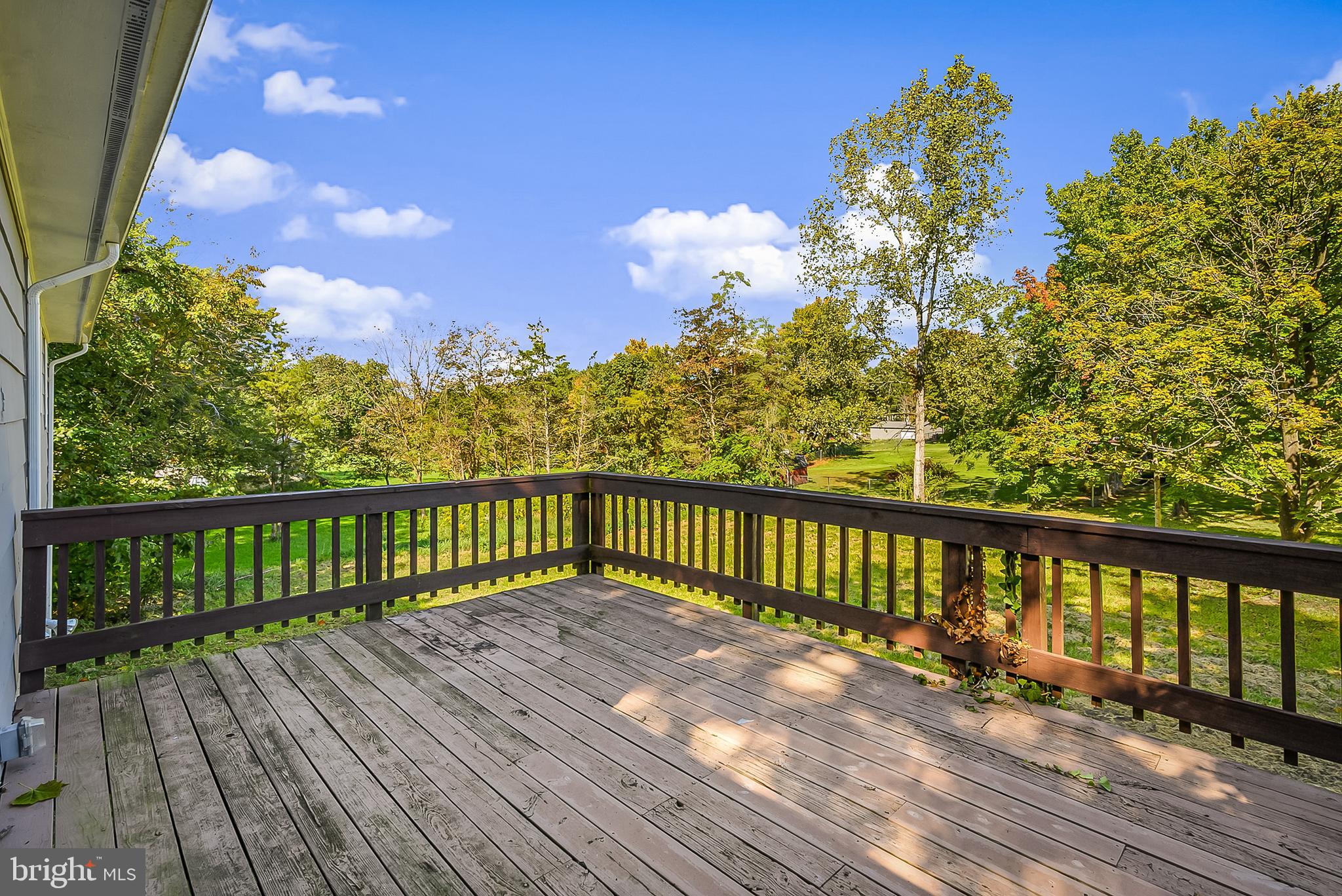 2706 Strasburg Road Front Royal, VA 22630 - Photo 16 of 22 View From the Back Deck