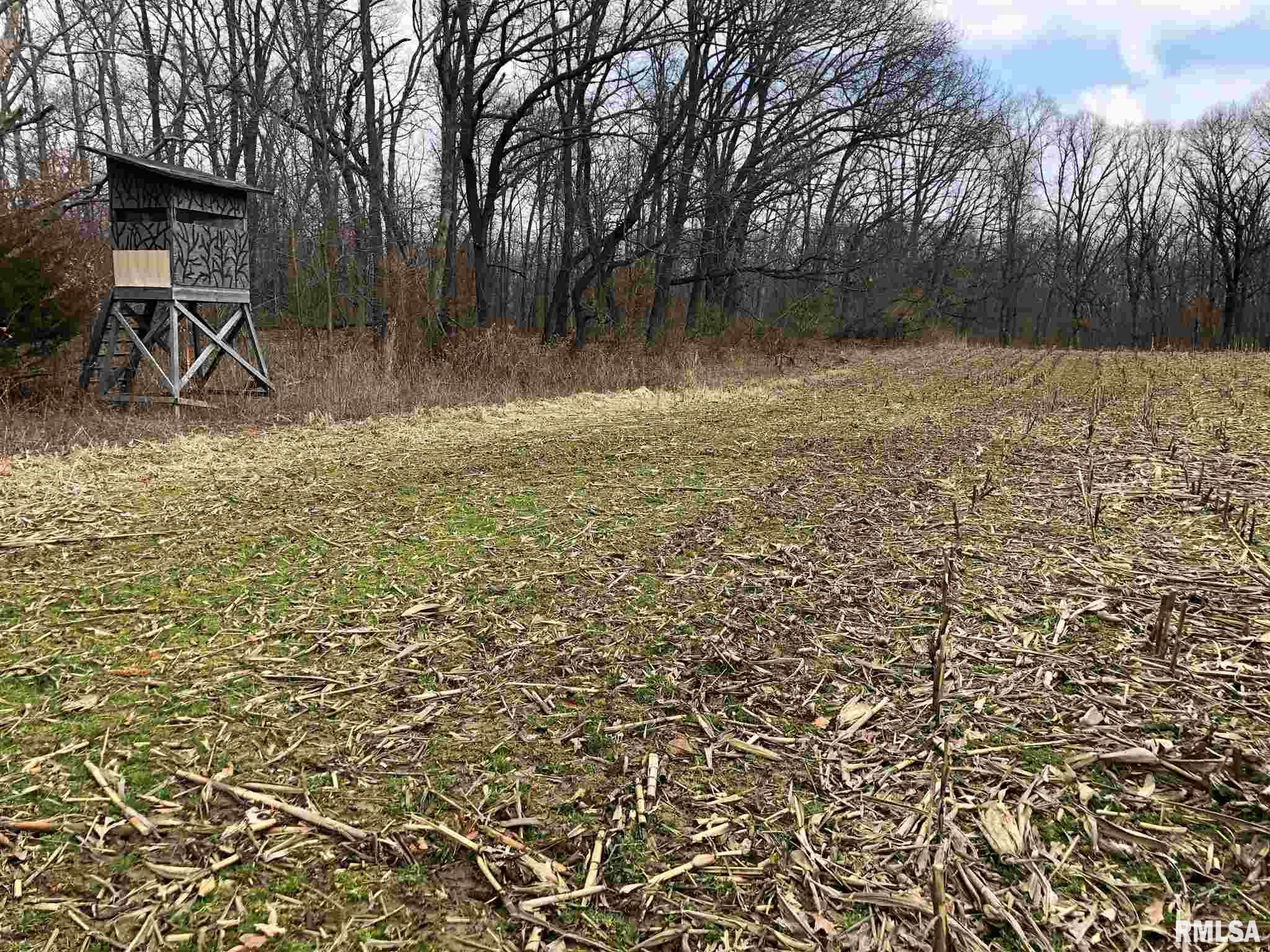 0 North Seville Road Smithfield, IL 61477 - Photo 11 of 50