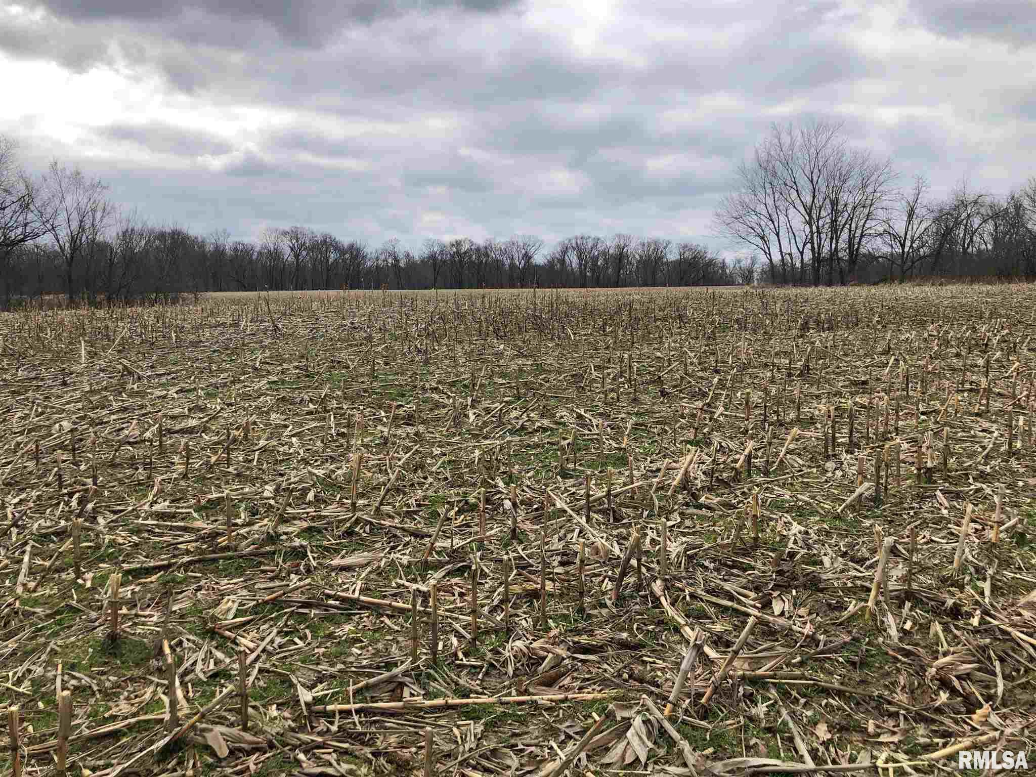 0 North Seville Road Smithfield, IL 61477 - Photo 12 of 50