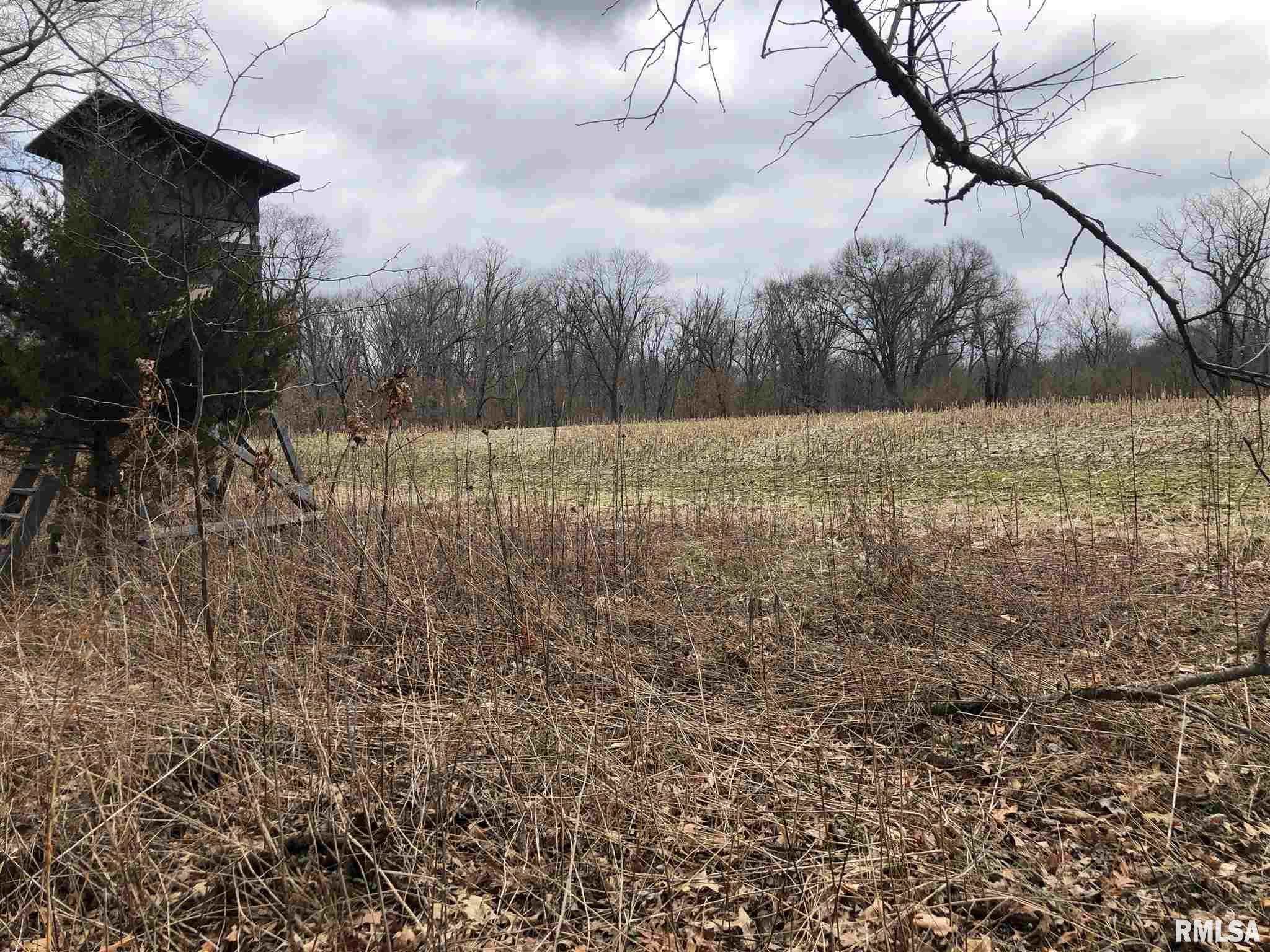 0 North Seville Road Smithfield, IL 61477 - Photo 14 of 50