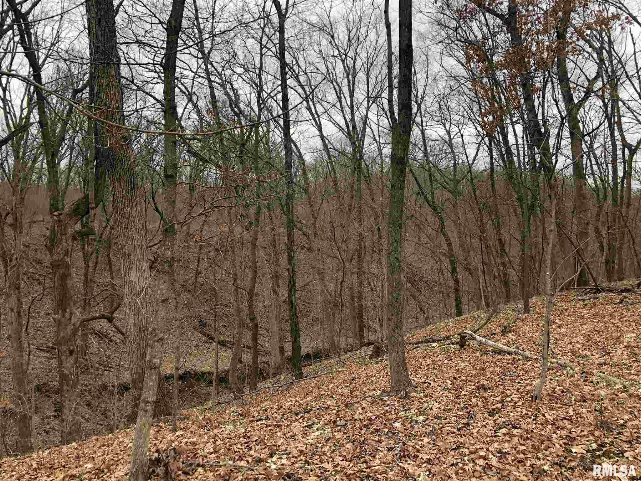 0 North Seville Road Smithfield, IL 61477 - Photo 21 of 50