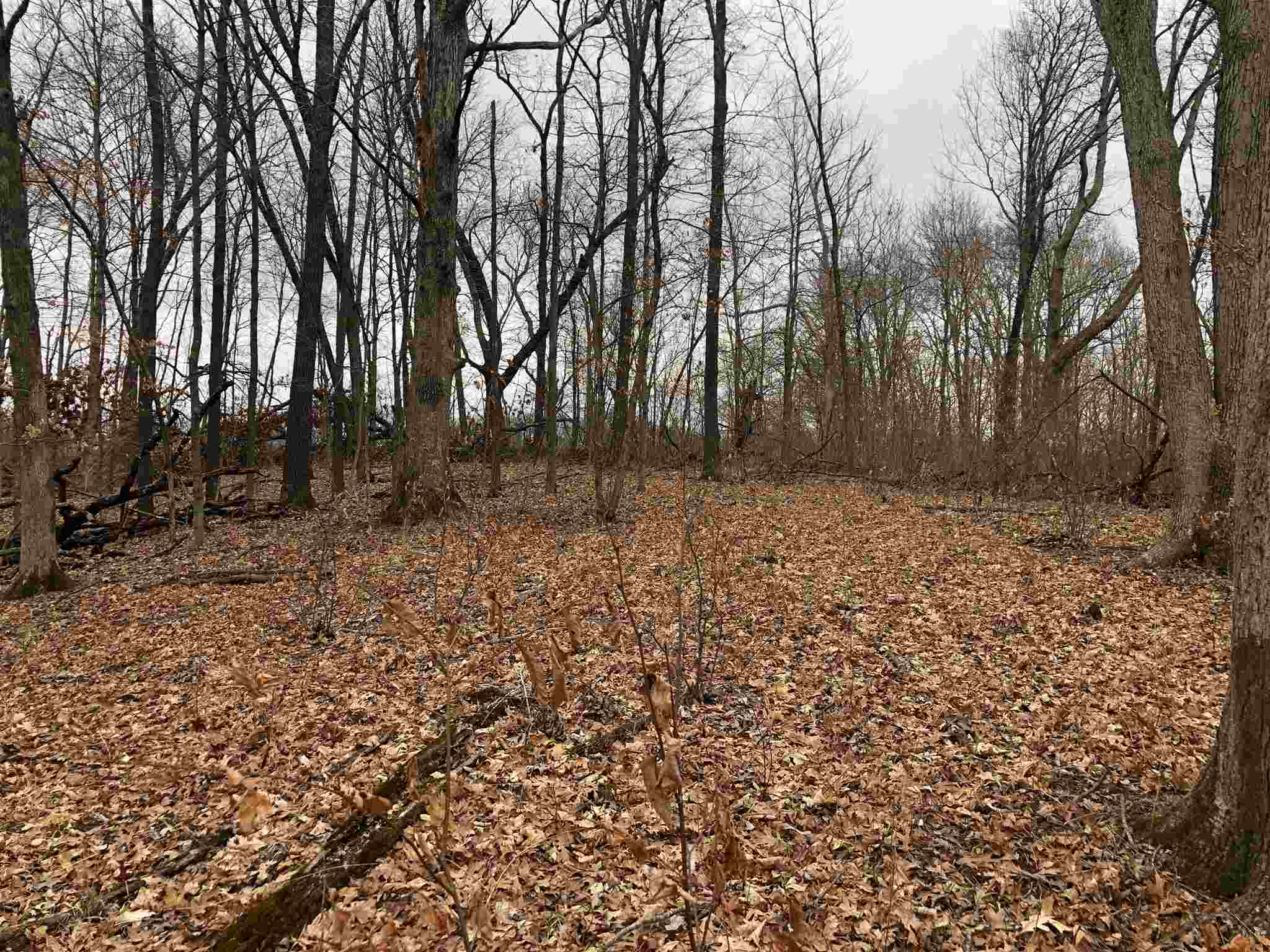 0 North Seville Road Smithfield, IL 61477 - Photo 23 of 50