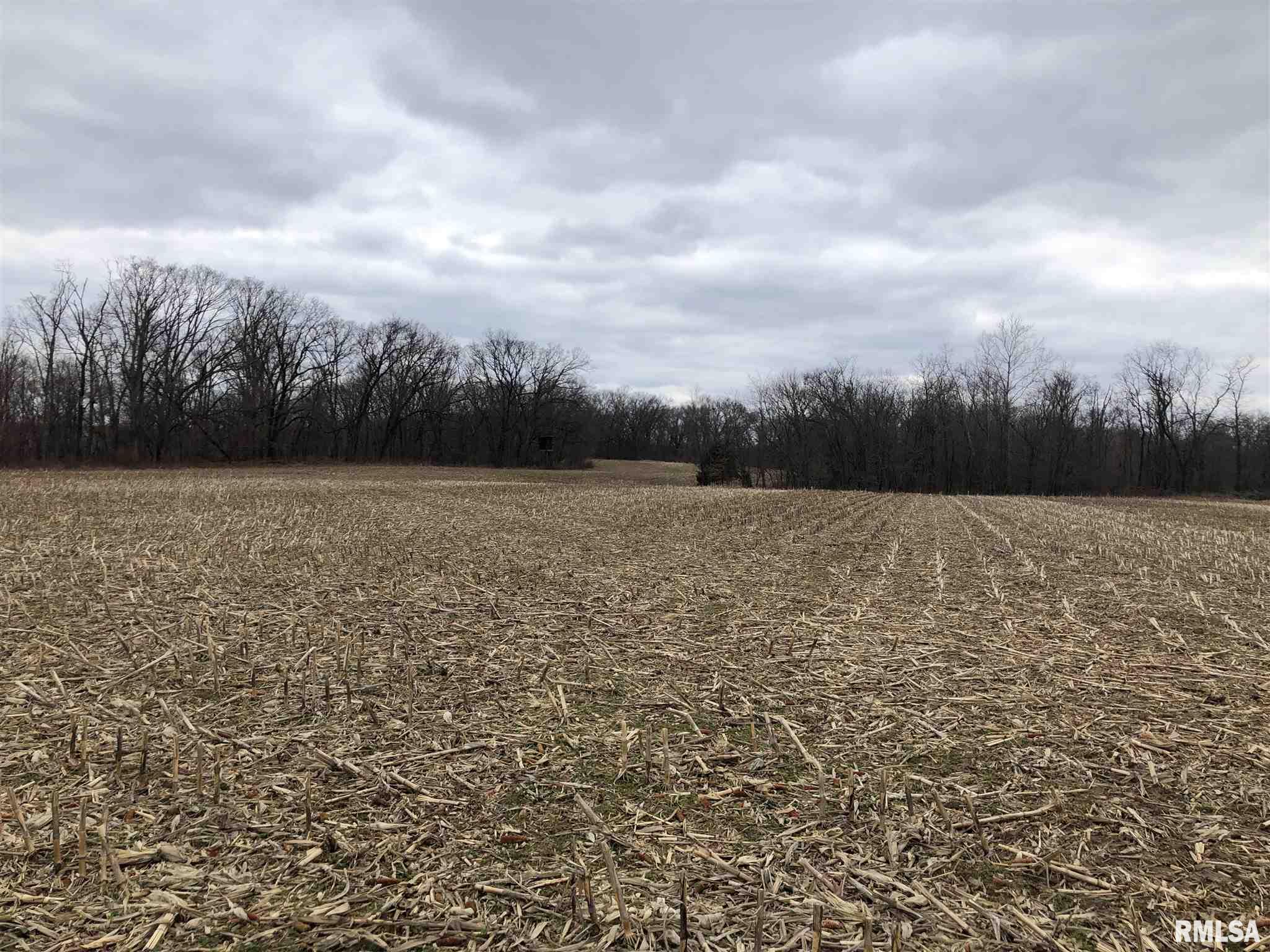 0 North Seville Road Smithfield, IL 61477 - Photo 3 of 50