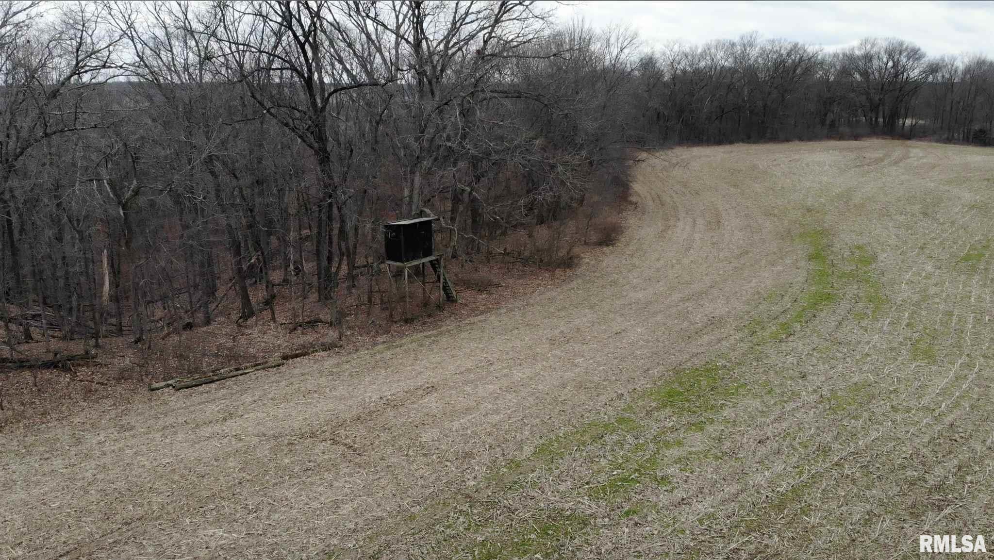 0 North Seville Road Smithfield, IL 61477 - Photo 36 of 50