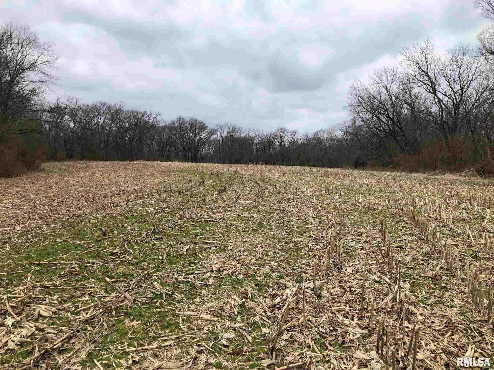 0 North Seville Road Smithfield, IL 61477 - Photo 4 of 50