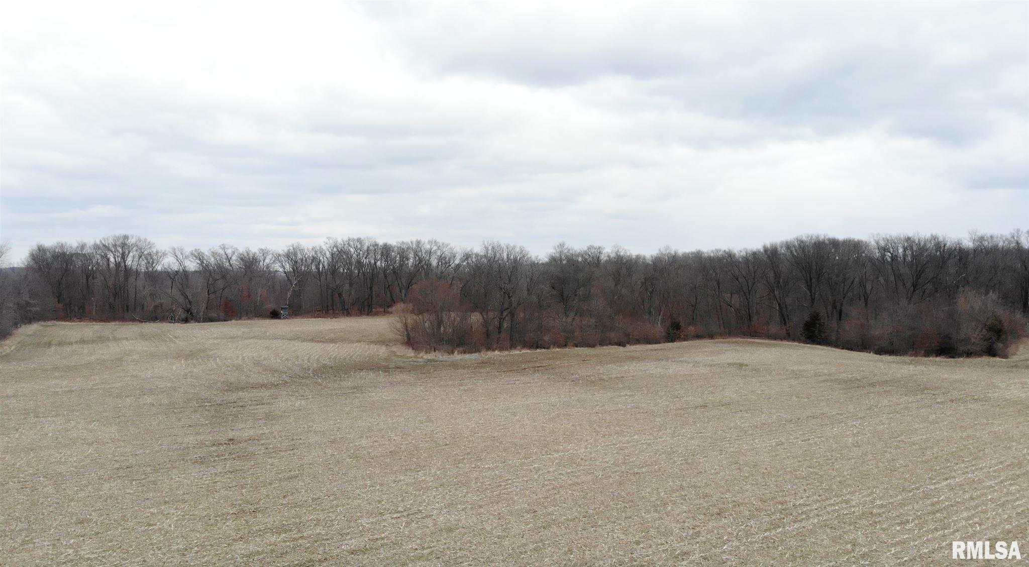 0 North Seville Road Smithfield, IL 61477 - Photo 44 of 50