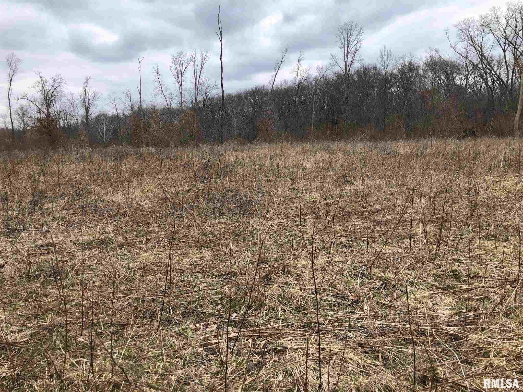 0 North Seville Road Smithfield, IL 61477 - Photo 5 of 50