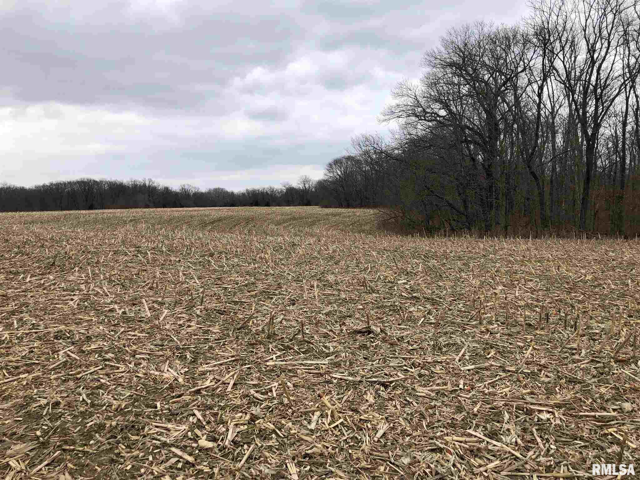 0 North Seville Road Smithfield, IL 61477 - Photo 6 of 50