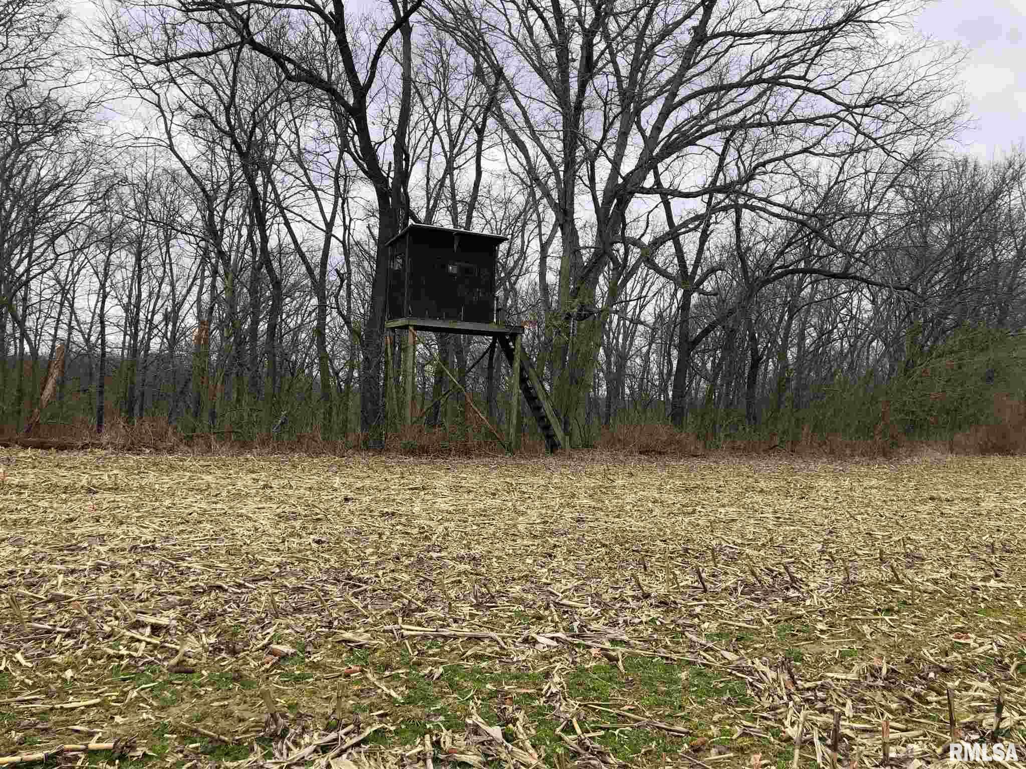 0 North Seville Road Smithfield, IL 61477 - Photo 8 of 50