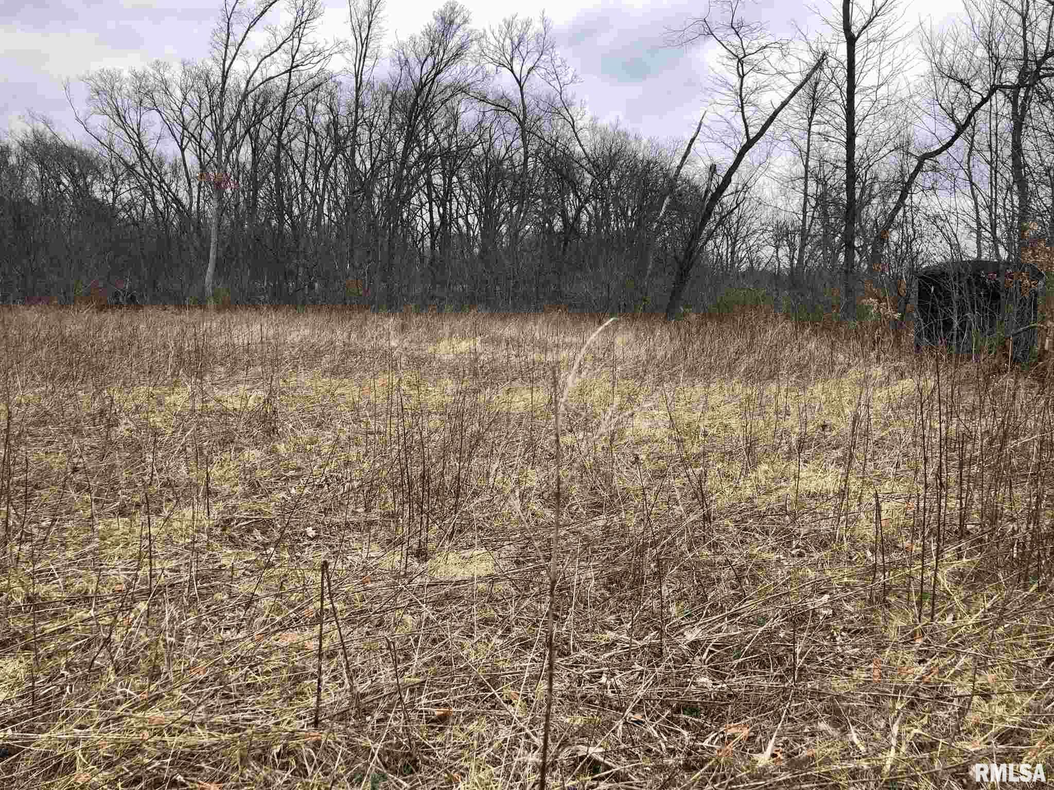 0 North Seville Road Smithfield, IL 61477 - Photo 10 of 50