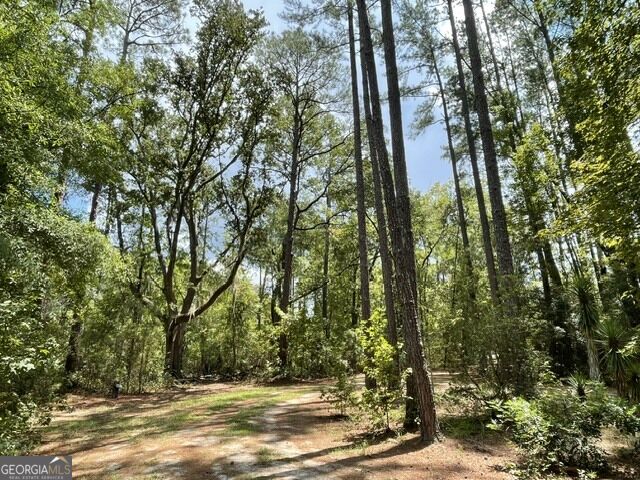 14155 Mud Road Brooklet, GA 30415 - Photo 57 of 59 Gallery Image 57