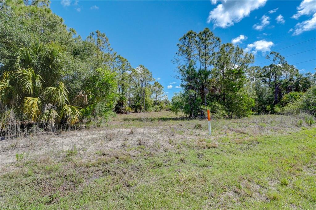 0 Immokalee Road Naples, FL 34102 - Photo 2 of 3 a view of a yard with a tree