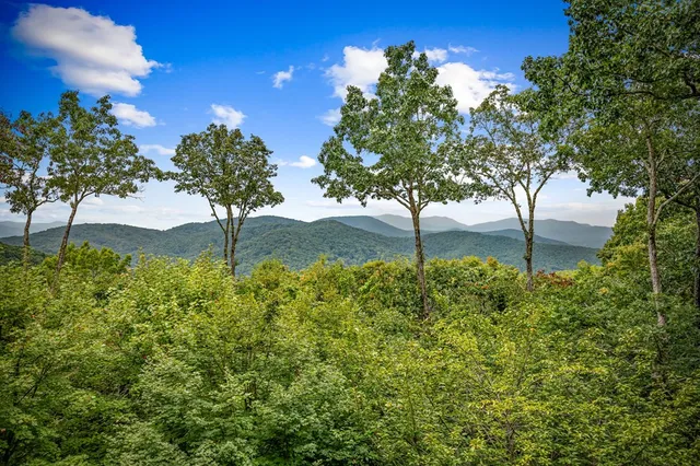 an aerial view of a house with swimming pool and garden space