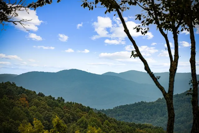 $1,150,000 | 260 Huckleberry Hollow, Morganton, GA 30560