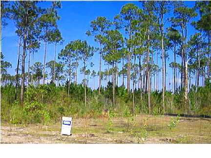 Lot 17 Prestons Path Santa Rosa Beach, FL 32459 - Photo 3 of 5 Gallery Image 3