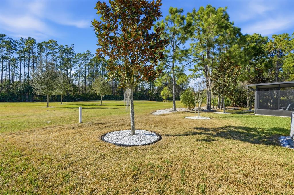 73 Lob Wedge Lane Bunnell, FL 32110 - Photo 37 of 59