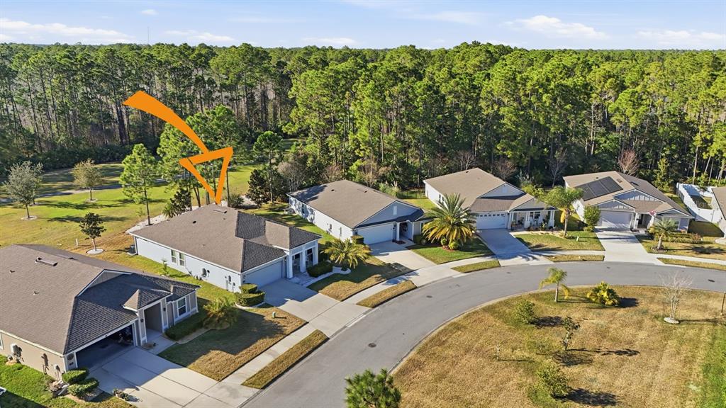 73 Lob Wedge Lane Bunnell, FL 32110 - Photo 44 of 59