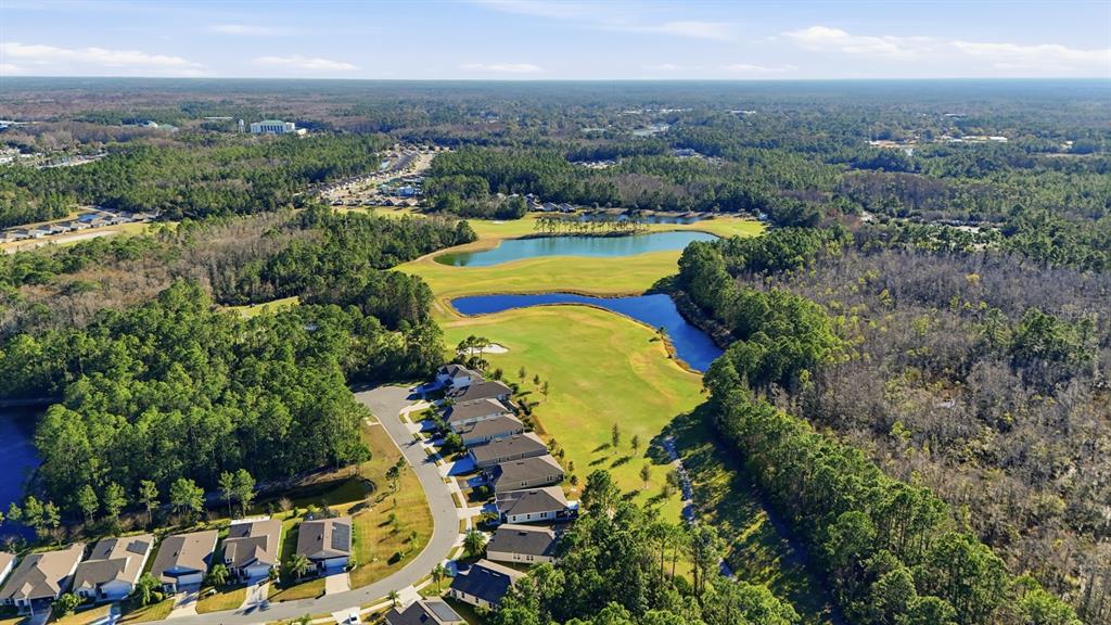 73 Lob Wedge Lane Bunnell, FL 32110 - Photo 50 of 59