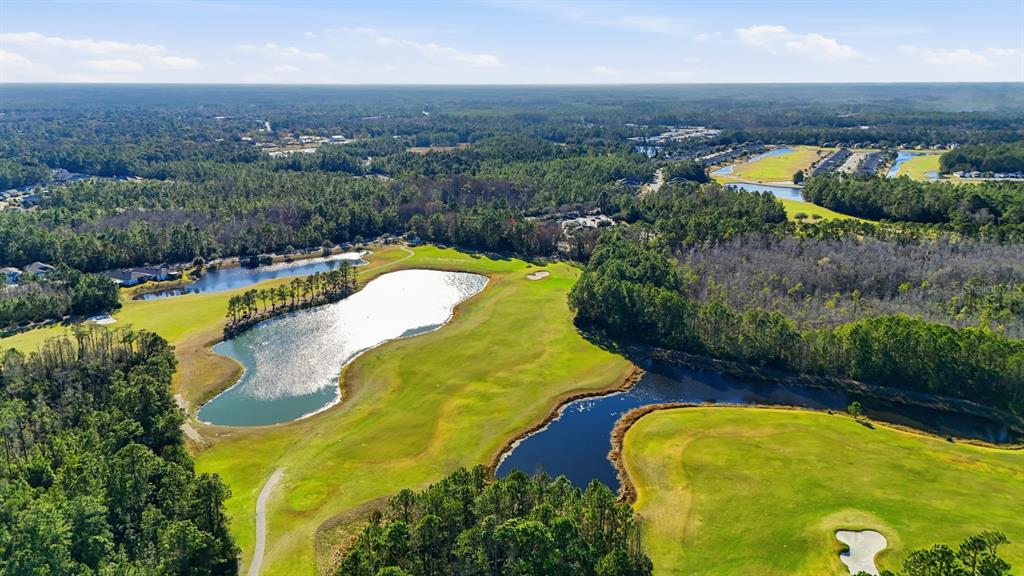 73 Lob Wedge Lane Bunnell, FL 32110 - Photo 51 of 59