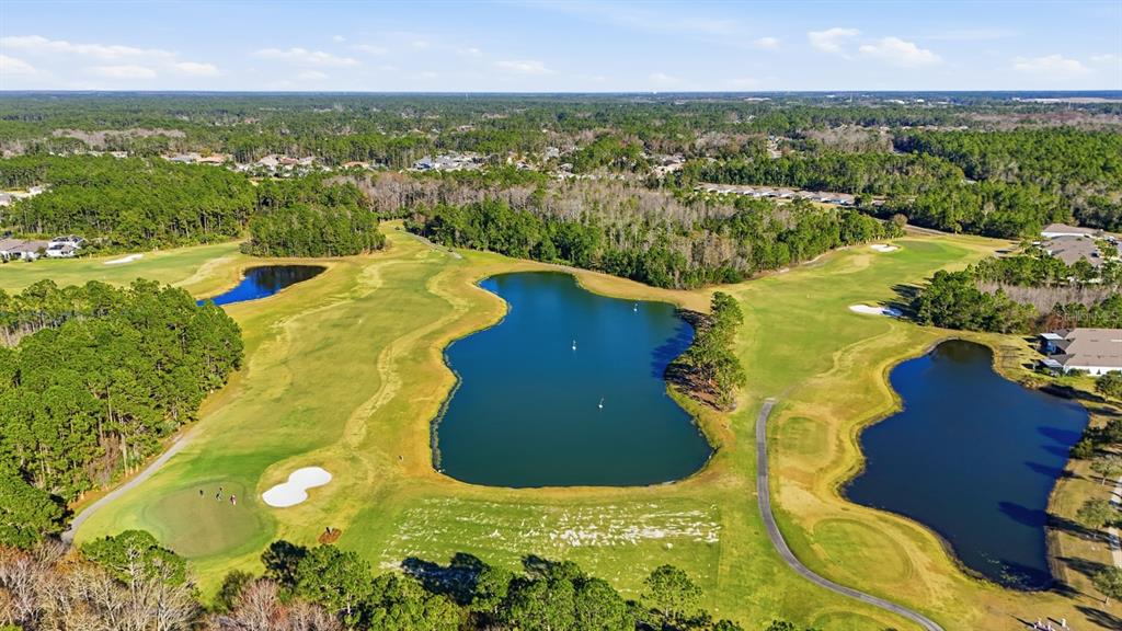 73 Lob Wedge Lane Bunnell, FL 32110 - Photo 52 of 59