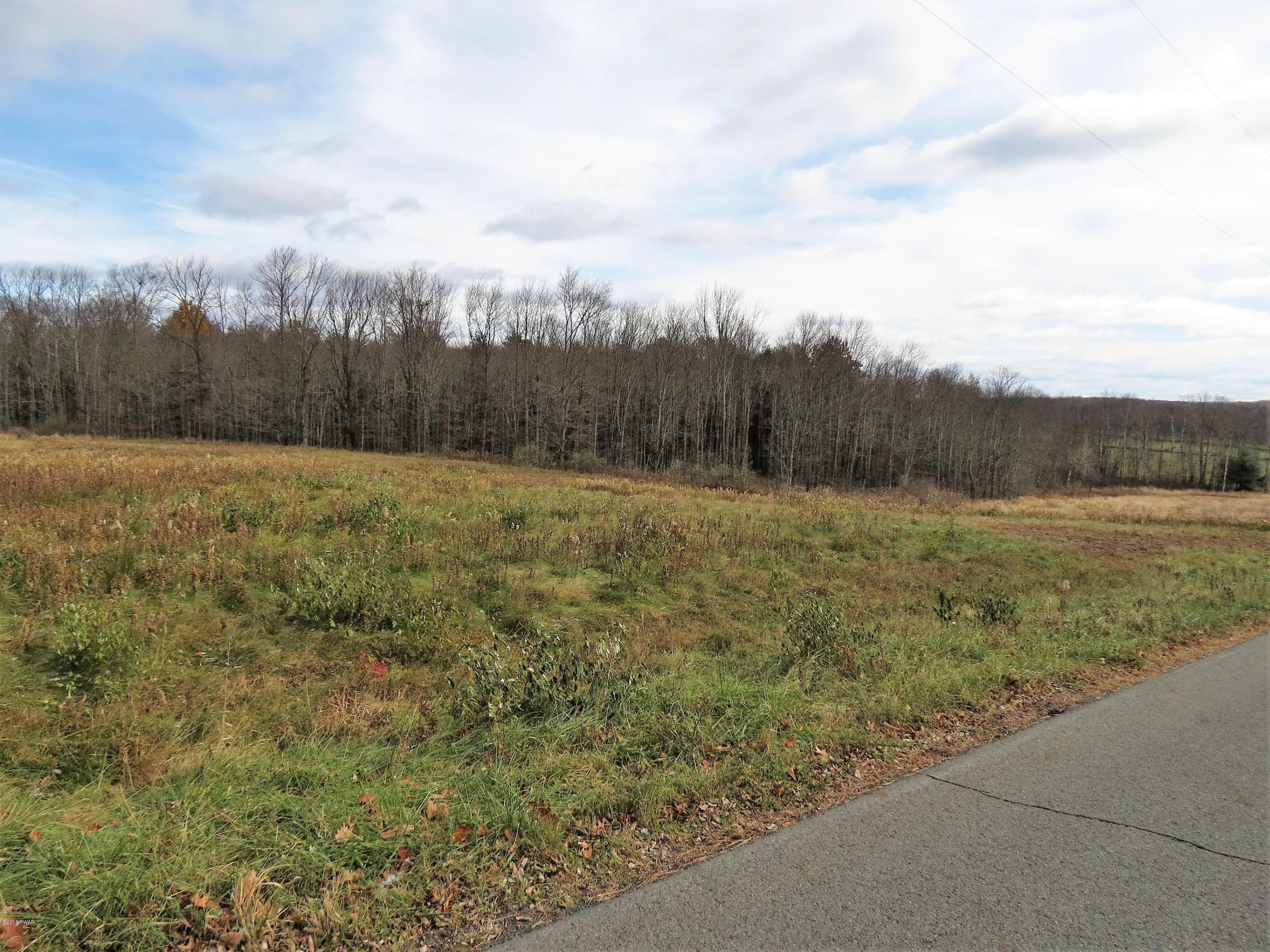 Lot 1 Butternut Road Sterling, PA 18463 - Photo 5 of 7