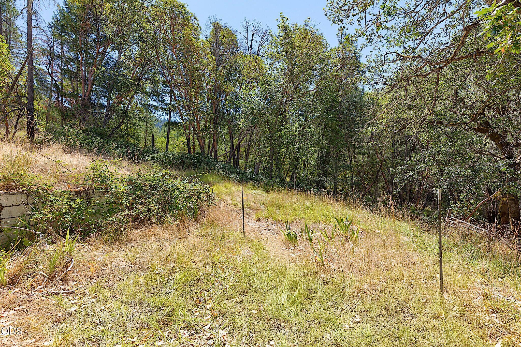 705 Murphy Gulch Road Rogue River, OR 97537 - Photo 36 of 77